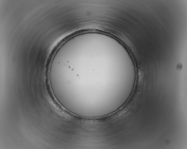 X0000111221020200907091306