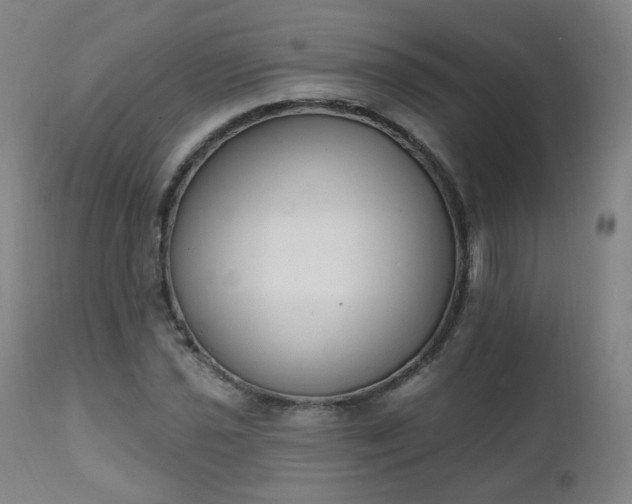 X0000111221021200907091306