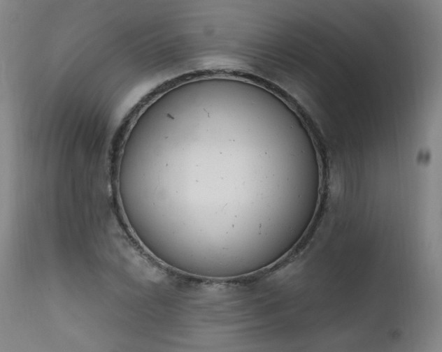 X0000111221022200907091306