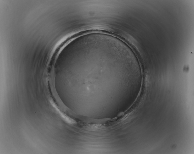X0000111221024200907091306