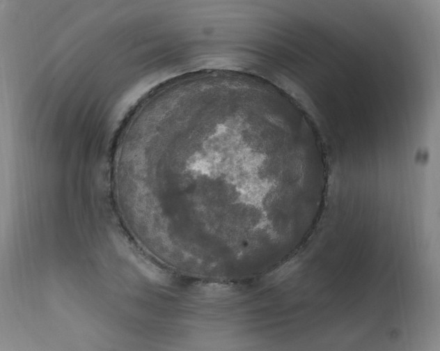 X0000111221027200907091306
