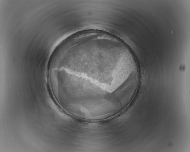 X0000111221028200907091306