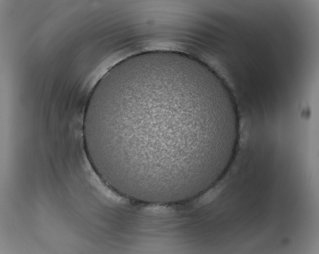 X0000111221033200907091306