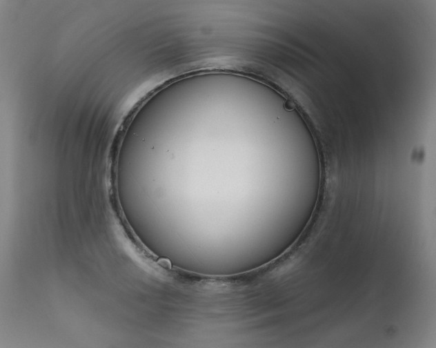 X0000111221034200907091306