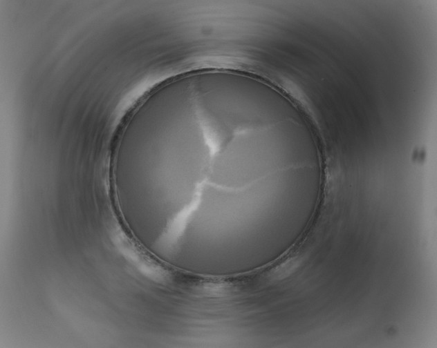 X0000111221035200907091306