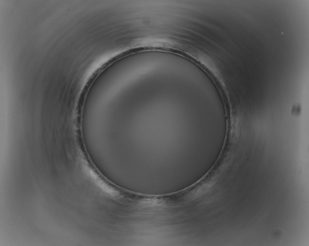 X0000111221037200907091307