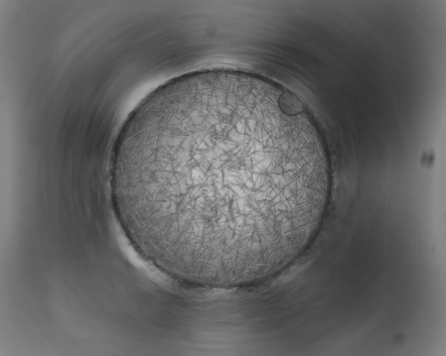 X0000111221038200907091307
