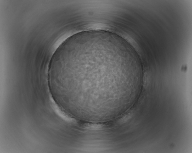 X0000111221039200907091307