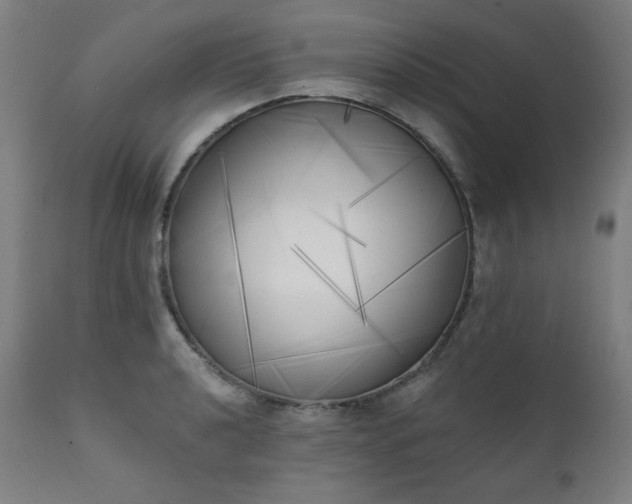 X0000111221040200907091307