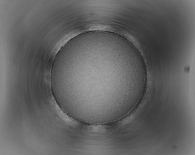 X0000111221041200907091307