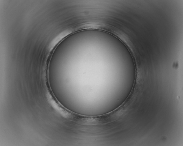 X0000111221042200907091307