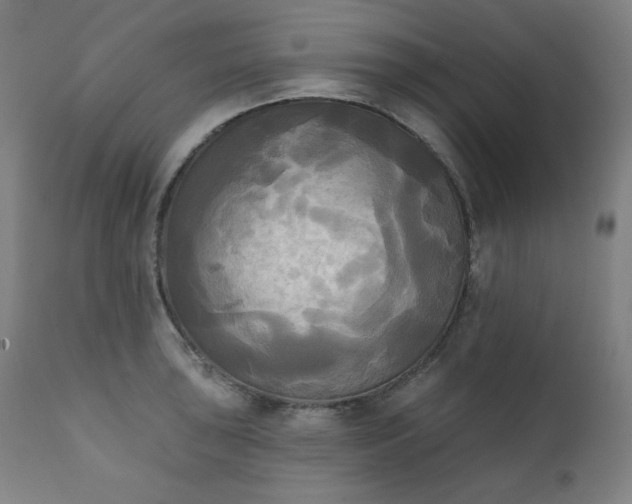 X0000111221043200907091307