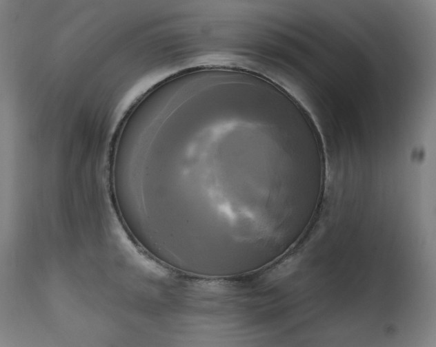 X0000111221045200907091307
