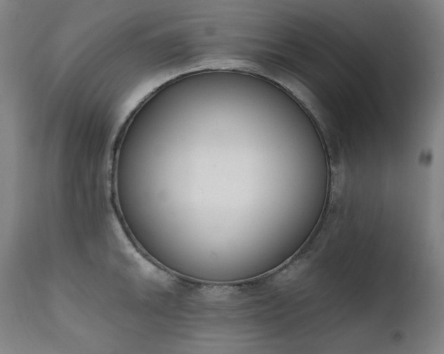 X0000111221046200907091307