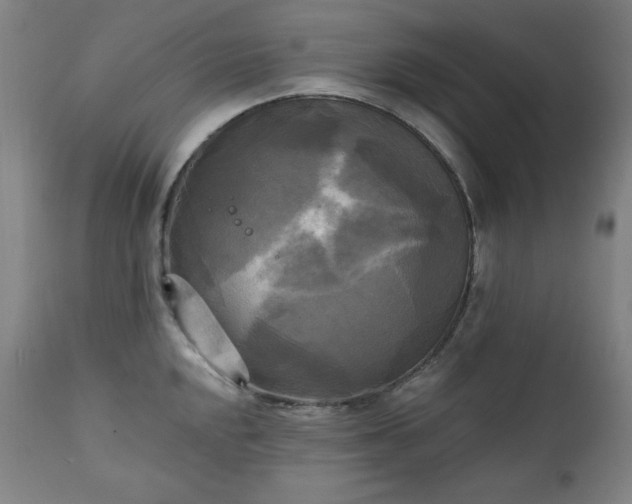 X0000111221048200907091307