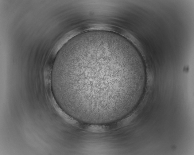 X0000111221049200907091307