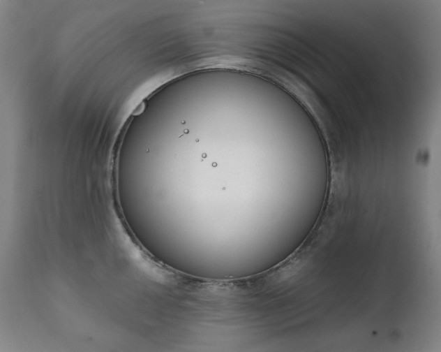 X0000111221050200907091307