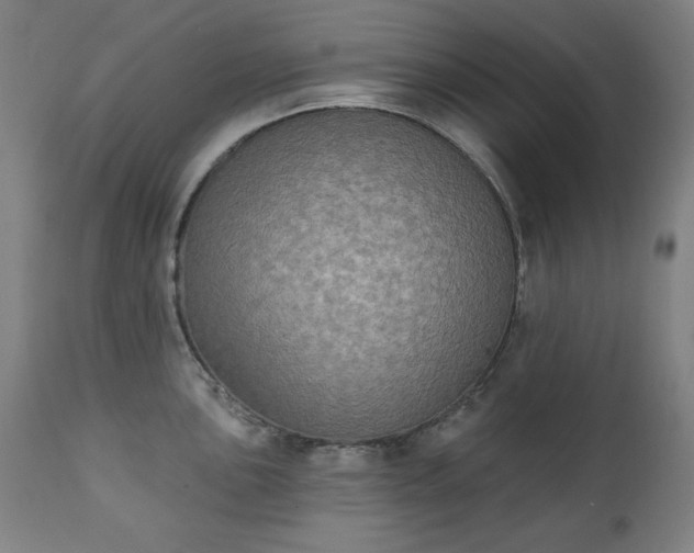 X0000111221051200907091307