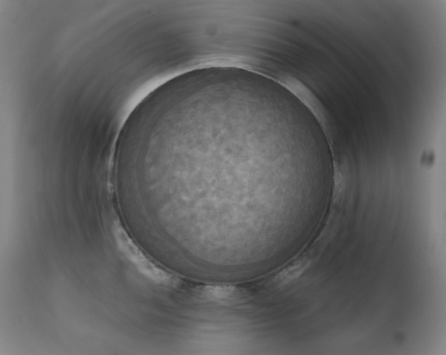 X0000111221052200907091307