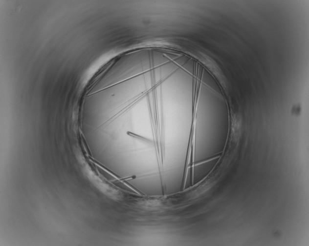 X0000111221054200907091307