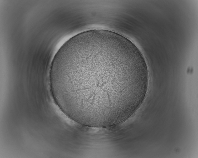 X0000111221056200907091307