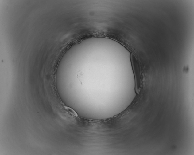 X0000111221057200907091306