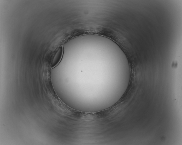 X0000111221058200907091306