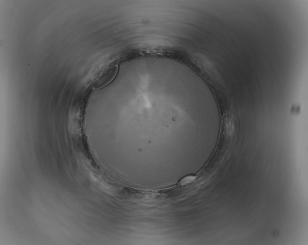 X0000111221060200907091306