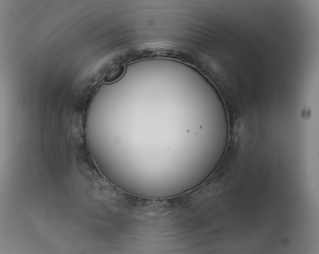 X0000111221062200907091306