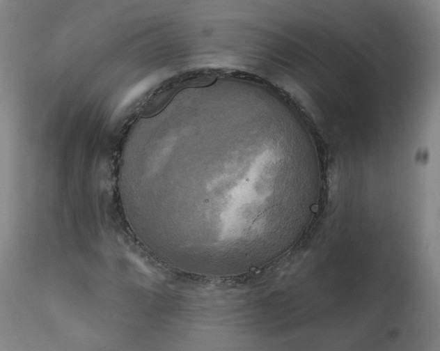 X0000111221064200907091306