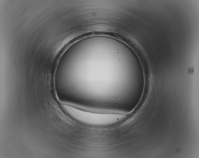 X0000111221065200907091306