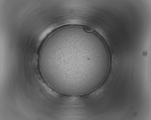 X0000111221067200907091306