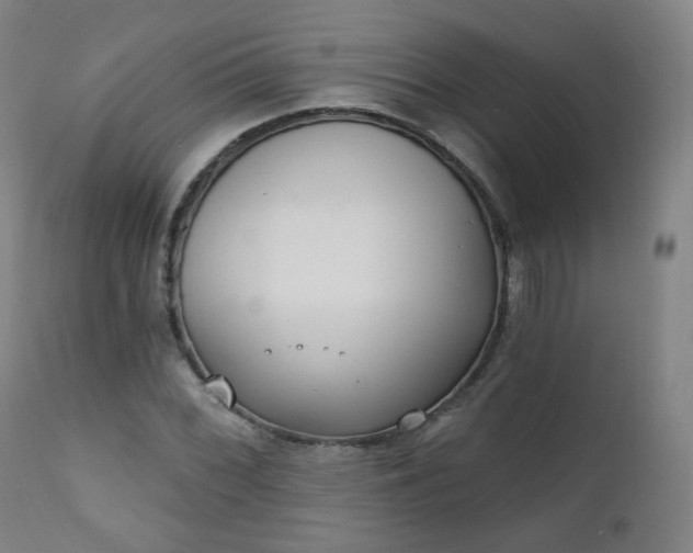 X0000111221068200907091306