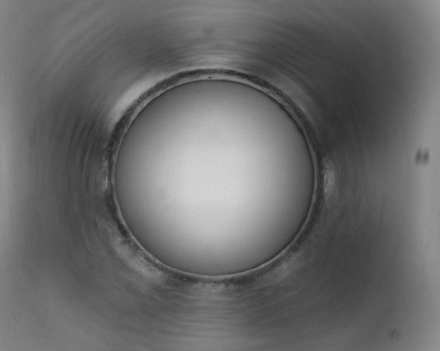 X0000111221069200907091306