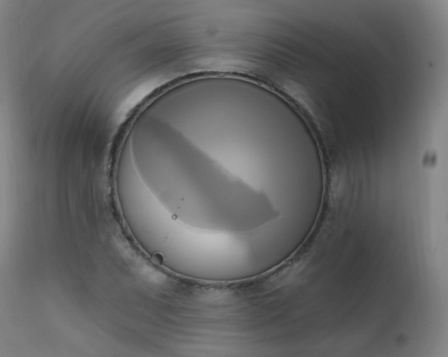 X0000111221071200907091306