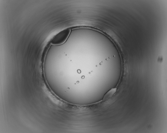 X0000111221072200907091306