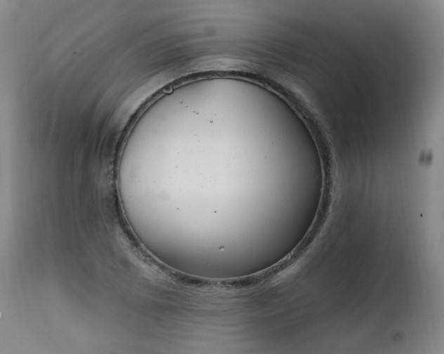 X0000111221073200907091306
