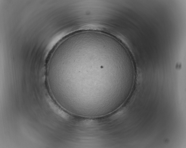 X0000111221075200907091306