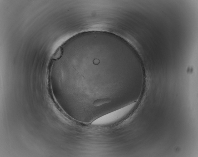 X0000111221077200907091306