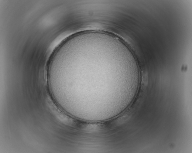 X0000111221078200907091306