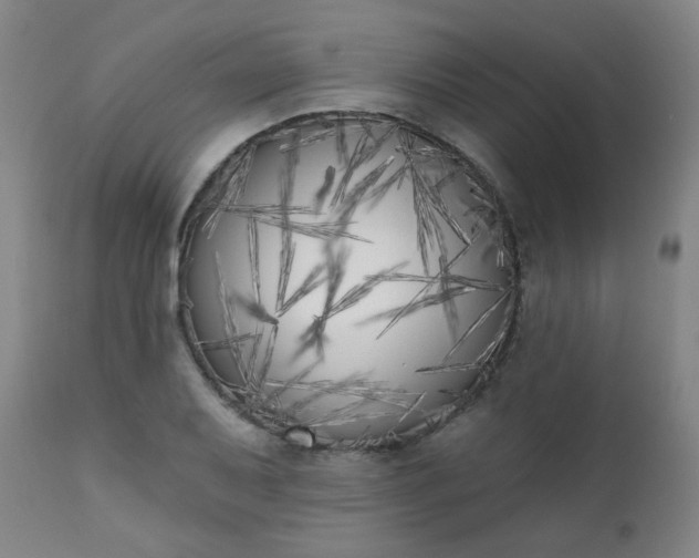 X0000111221079200907091305