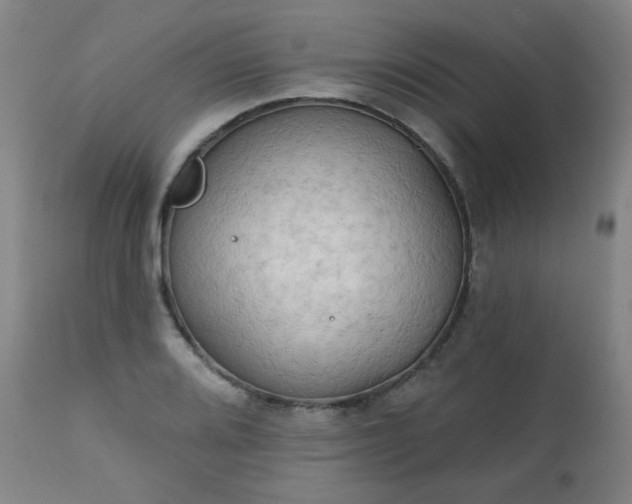 X0000111221080200907091305