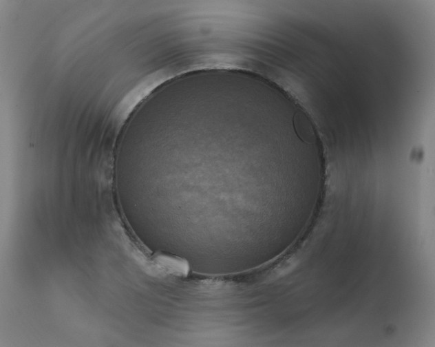 X0000111221081200907091305