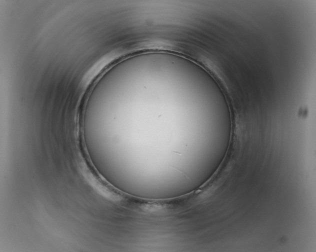 X0000111221082200907091305