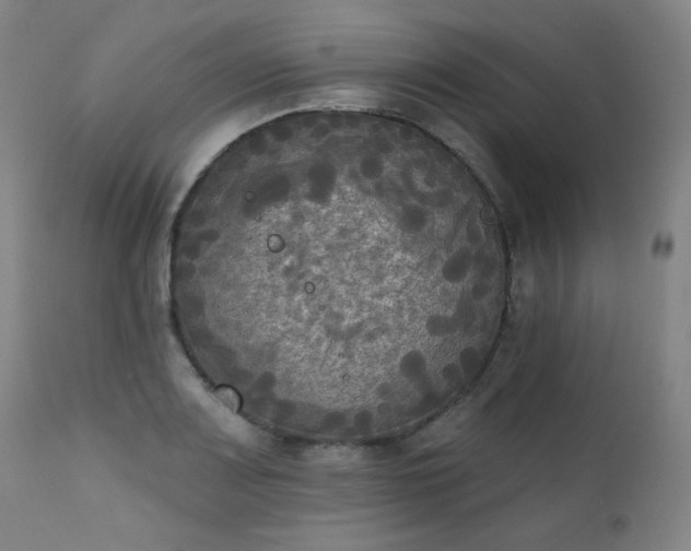 X0000111221083200907091305