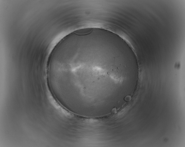 X0000111221088200907091305