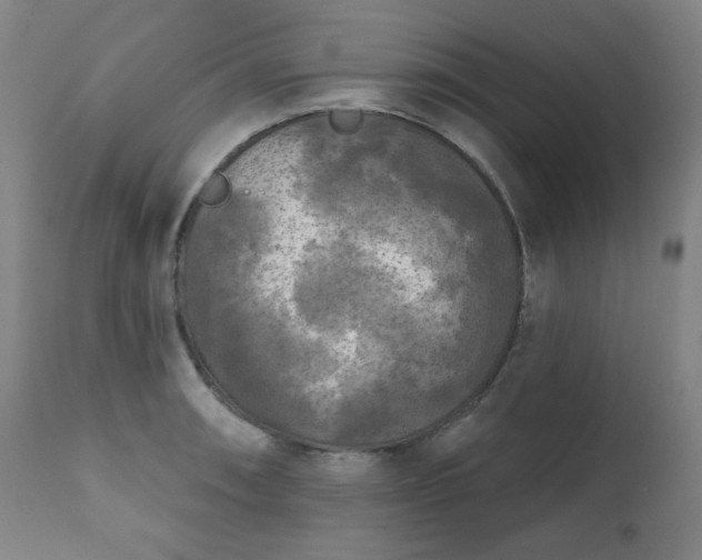 X0000111221090200907091305