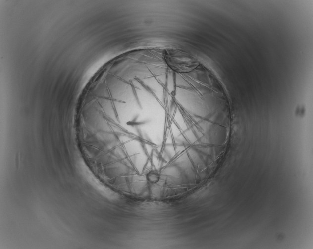 X0000111221091200907091305