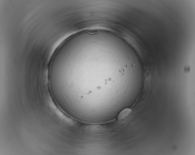 X0000111221092200907091305