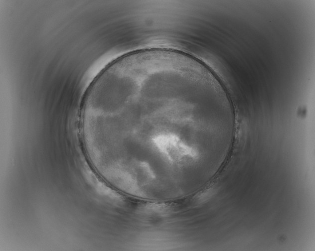 X0000111221094200907091305